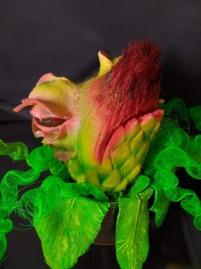 Little shop of Horrors